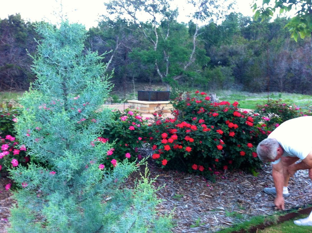 2012-04-06-6607 Conifer Cove-55.jpg
